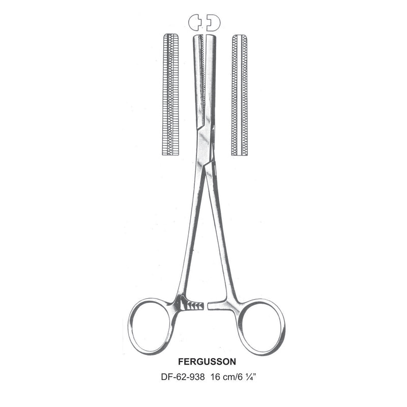 Fergusson Forceps, Straight, 16cm (DF-62-938) by Dr. Frigz