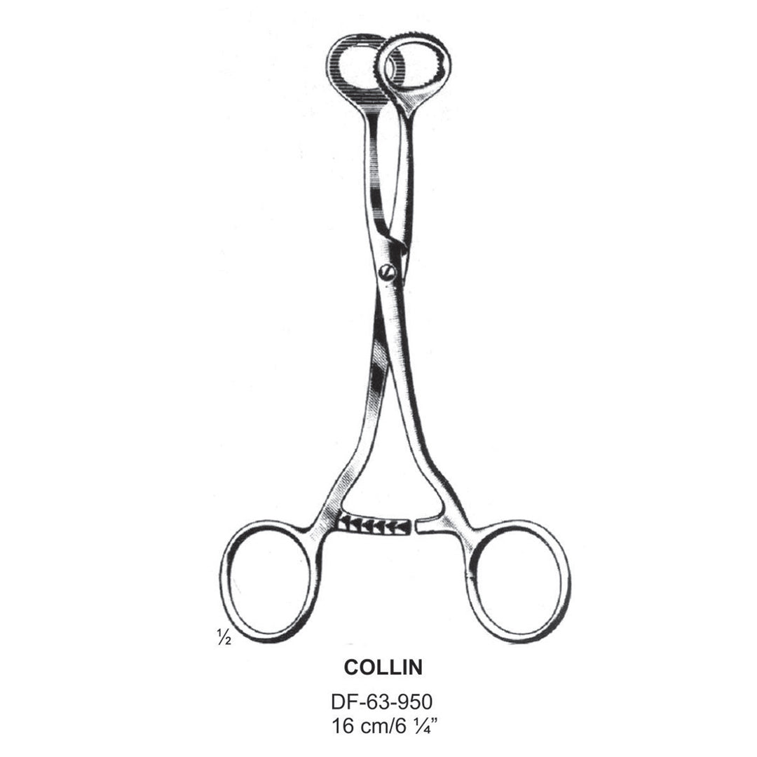 Collin Tongue Holding Forceps, 16cm (DF-63-950) by Dr. Frigz