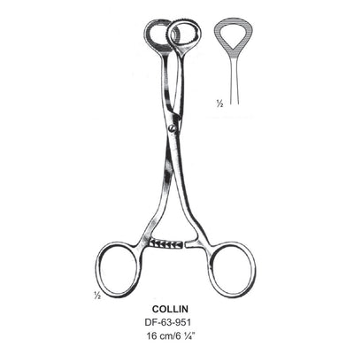 Collin Tongue Holding Forceps, 16cm (DF-63-951) by Dr. Frigz