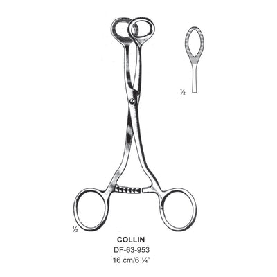 Collin Tongue Holding Forceps, 16cm (DF-63-953) by Dr. Frigz