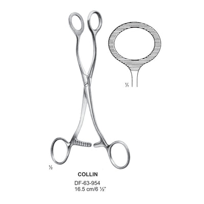 Collin Tongue Holding Forceps, Oval Jaws,16.5cm (DF-63-954) by Dr. Frigz