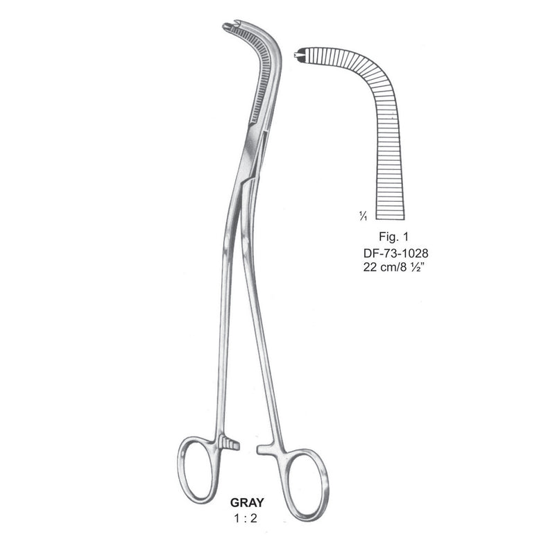 Gray Gall Duct Clamps, Fig.1, 1X2 Teeth, 22cm (DF-73-1028) by Dr. Frigz