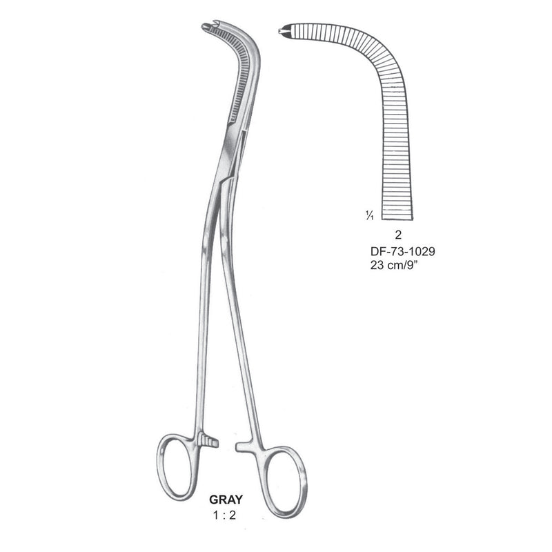 Gray Gall Duct Clamps, Fig.2, 1X2 Teeth, 23cm (DF-73-1029) by Dr. Frigz