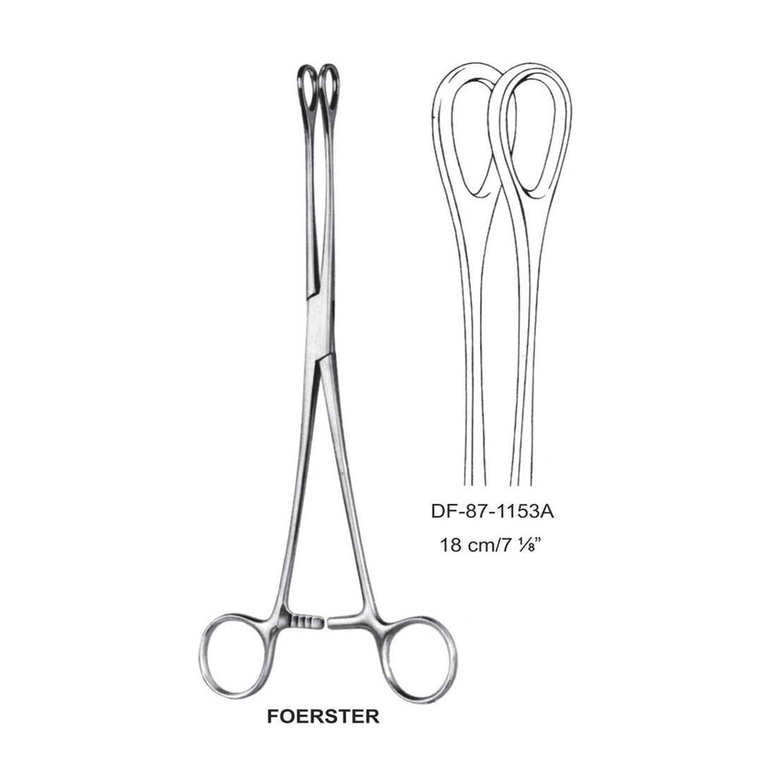 Foerster Sponge Forceps, Straight, Plain, 18cm (DF-87-1153A) by Dr. Frigz