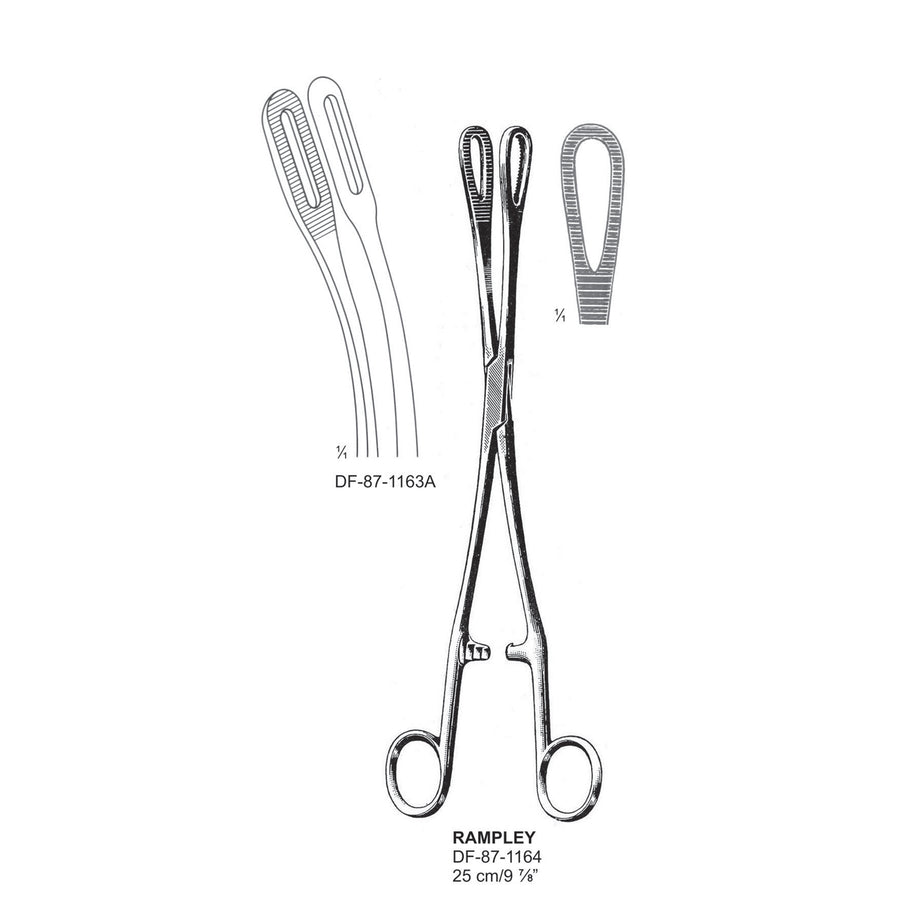 Rampley Sponge Forceps, Straight, Srrated, 25cm (DF-87-1163A) by Dr. Frigz