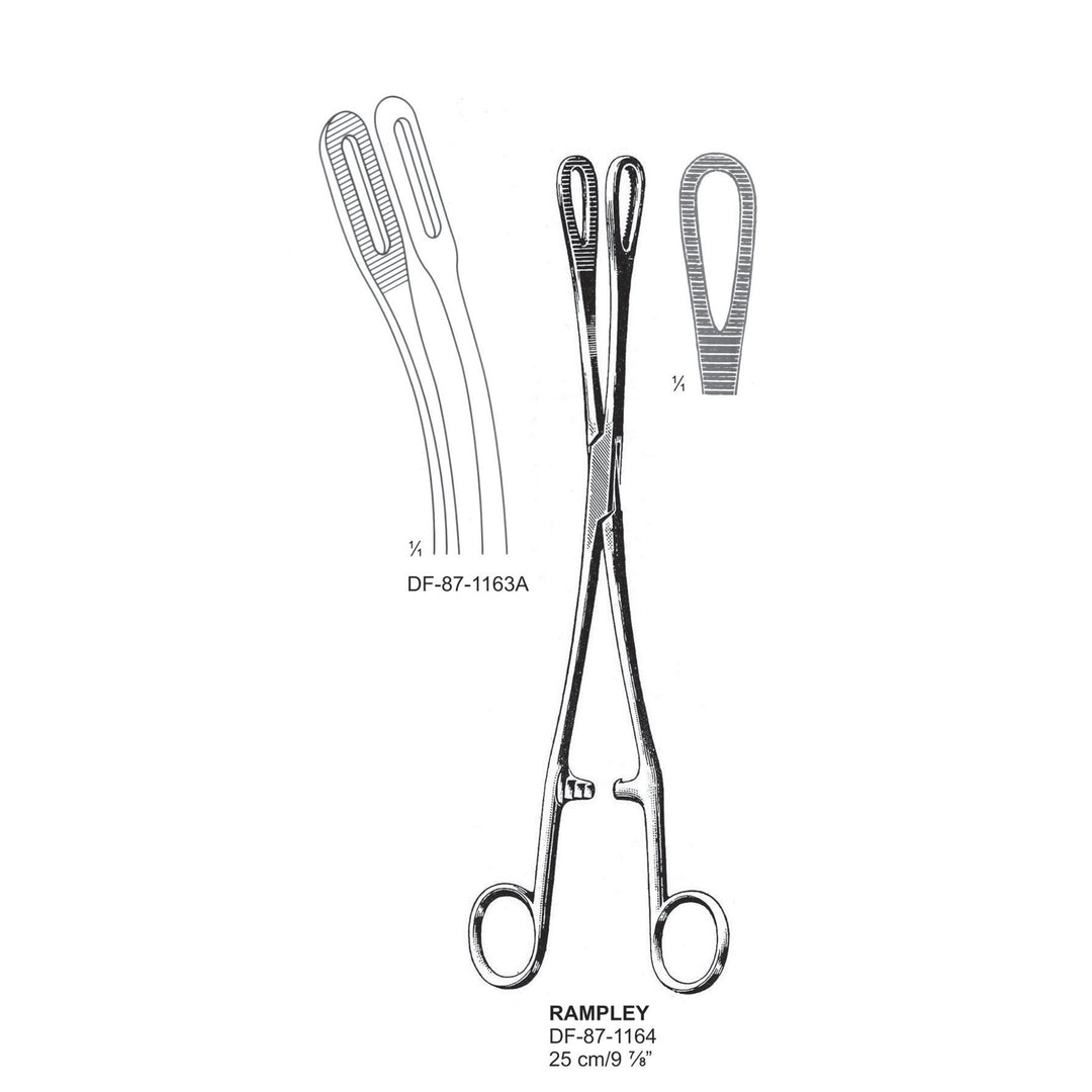 Rampley Sponge Forceps, Curved, Srrated, 25cm (DF-87-1164) by Dr. Frigz