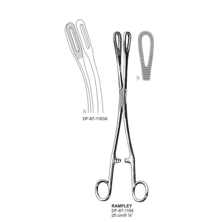 Rampley Sponge Forceps, Curved, Srrated, 25cm (DF-87-1164) by Dr. Frigz