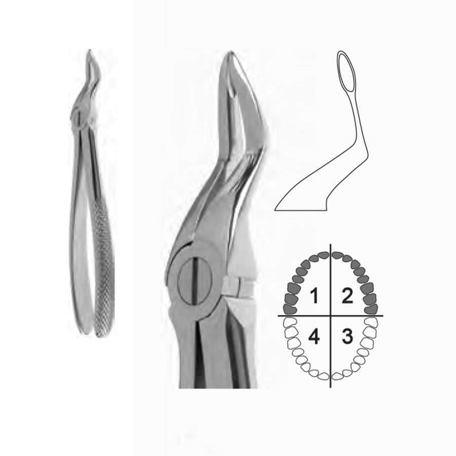 Extraction Forceps English Pattern, Upper Roots Fig. 51F  17,5 cm (Dt-V-0216) by Dr. Frigz