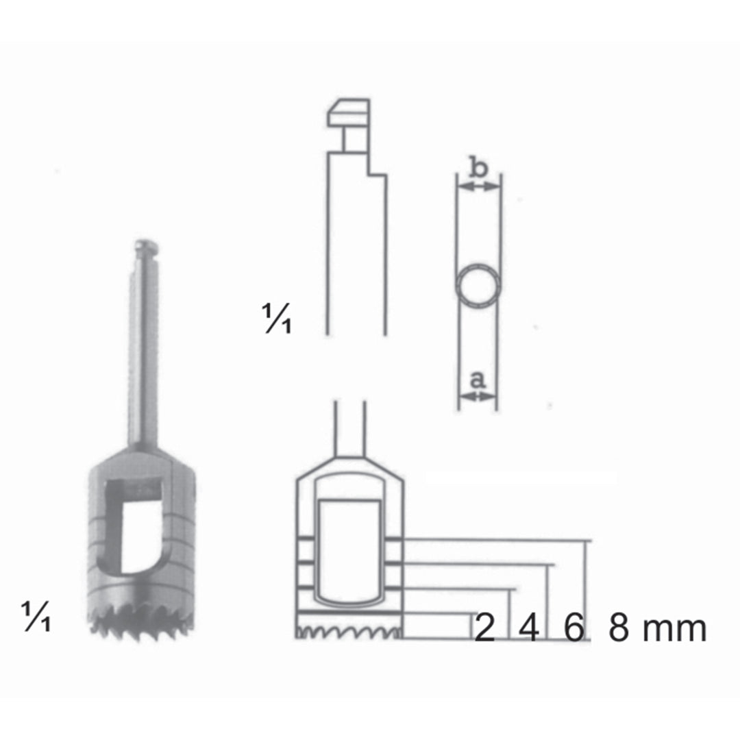 Bone Instruments A (3,0 Mm), B (3,5 Mm) 2,4,6,8 mm (L-016-03) by Dr. Frigz