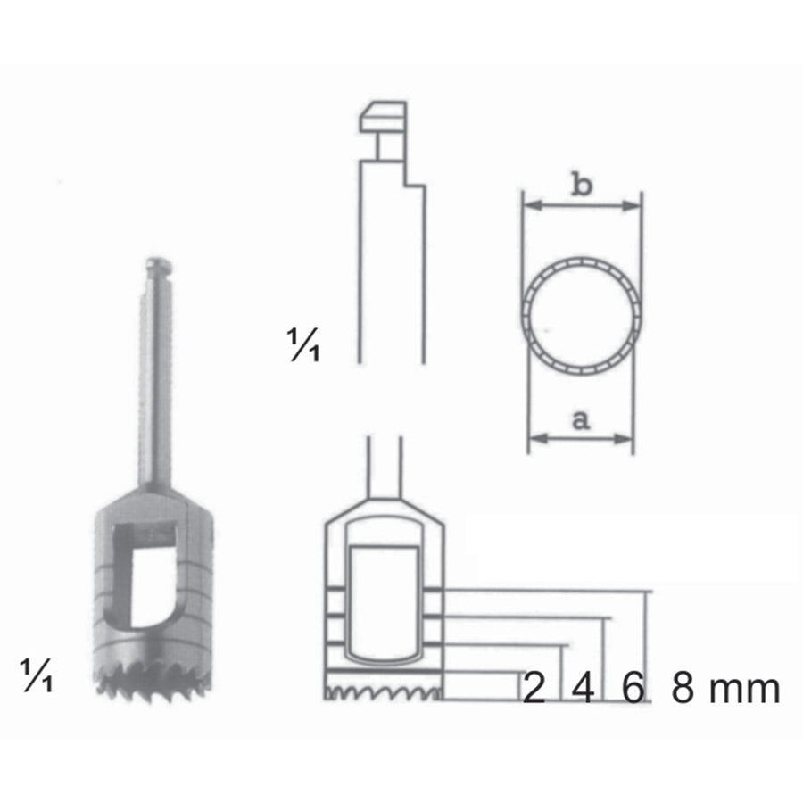 Bone Instruments A (7,5 Mm), B (8,5 Mm) 2,4,6,8 mm (L-018-08) by Dr. Frigz