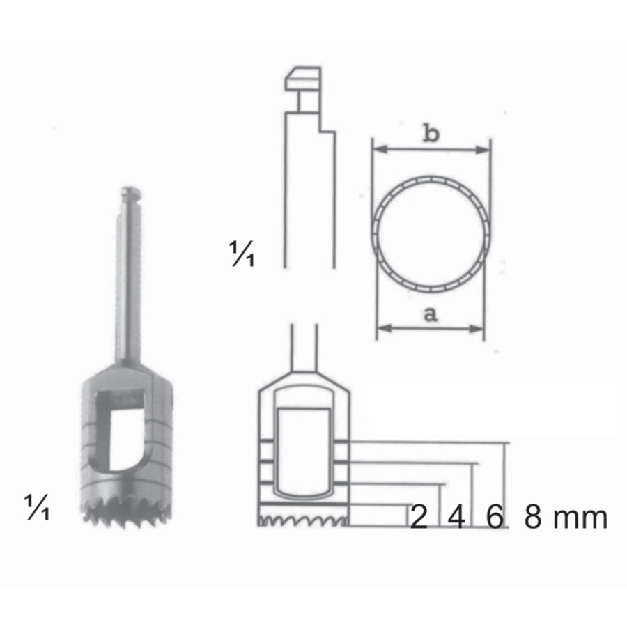 Bone Instruments A (10,0 Mm), B (11,0 Mm) 2,4,6,8 mm (L-019-10) by Dr. Frigz