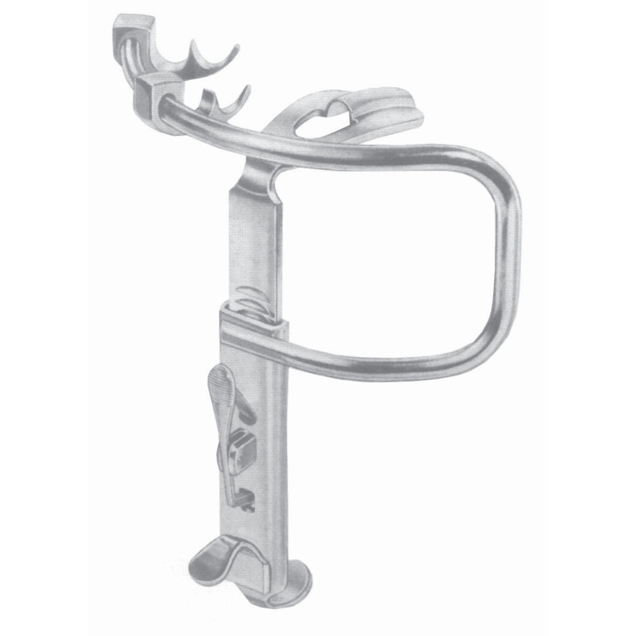 Bone Instruments Frame For Mouth Gag (L-039-01) by Dr. Frigz