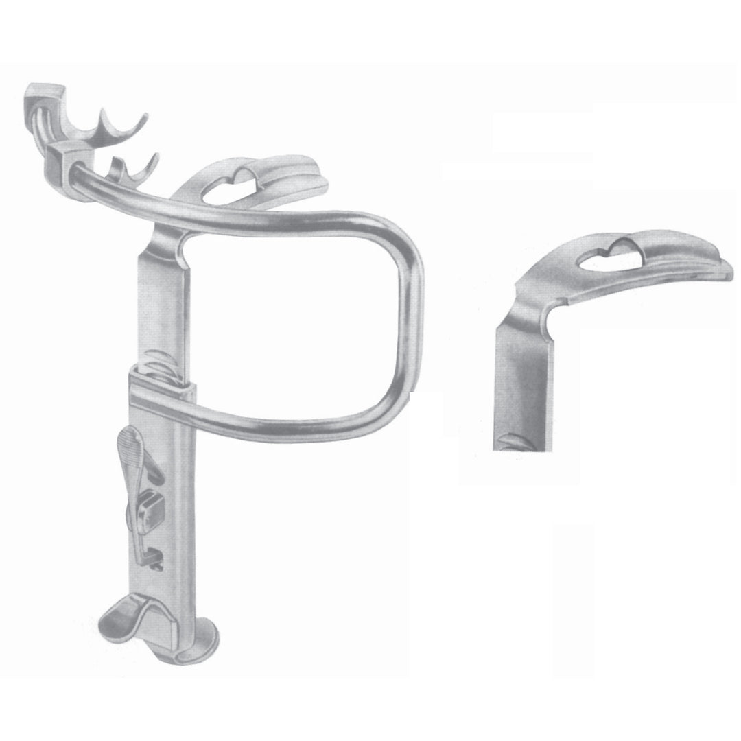 Bone Instruments 13.5cm 38 X 85 mm (L-042-04) by Dr. Frigz