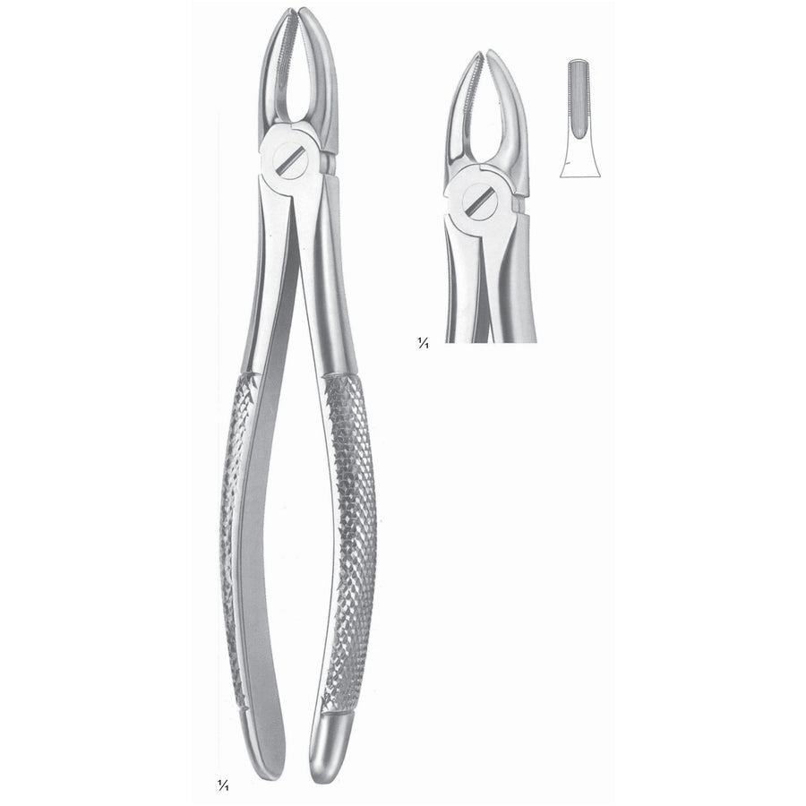 Extracting Forceps Incisors And Biscuspids Fig 2 (M-002-02) by Dr. Frigz