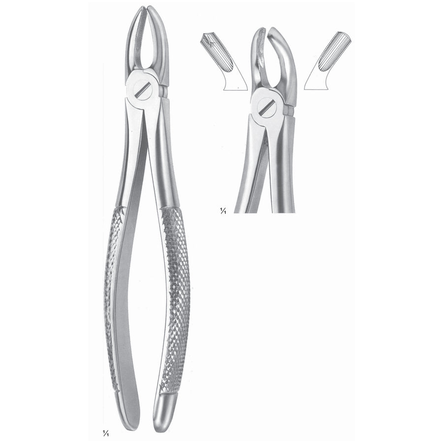 Extracting Forceps Molars, Right Fig 17 (M-004-17) by Dr. Frigz