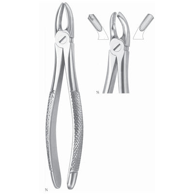 Extracting Forceps Molars, Right Fig 17 (M-004-17)