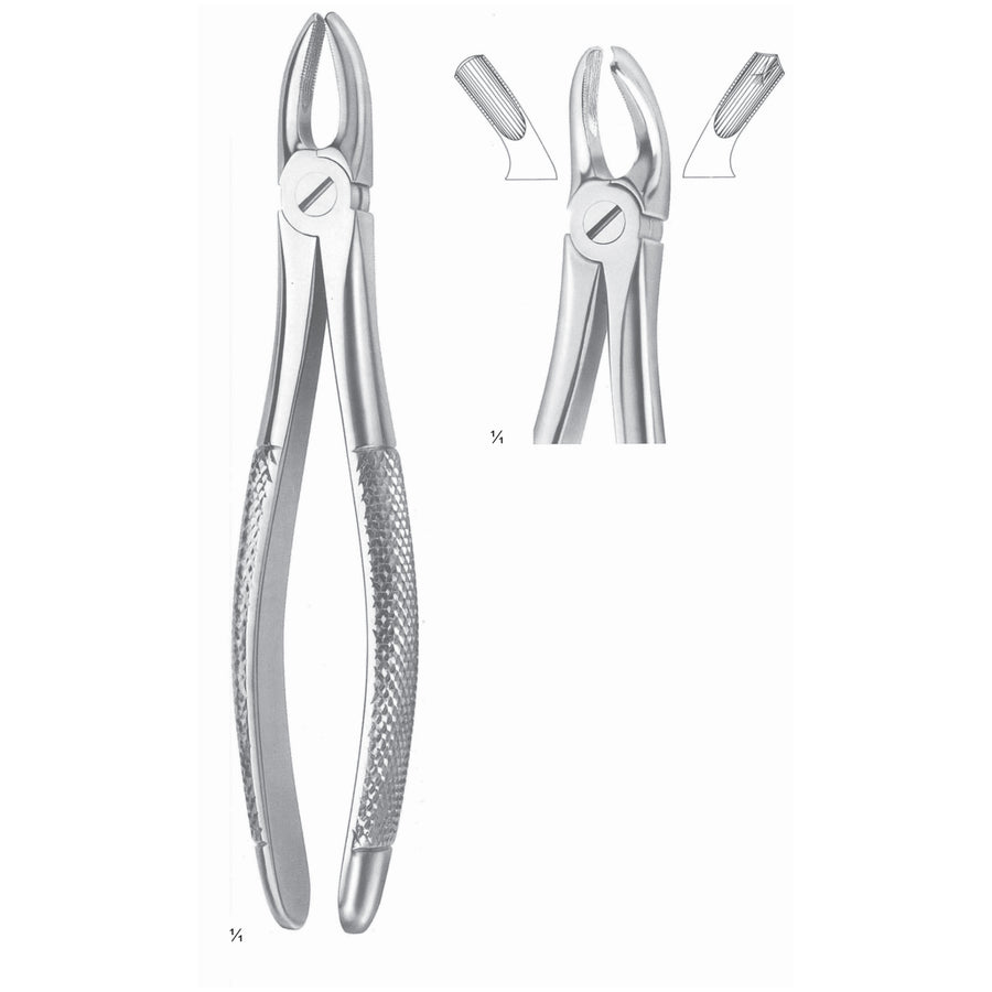 Extracting Forceps Molars, Left Fig 18 (M-005-18) by Dr. Frigz