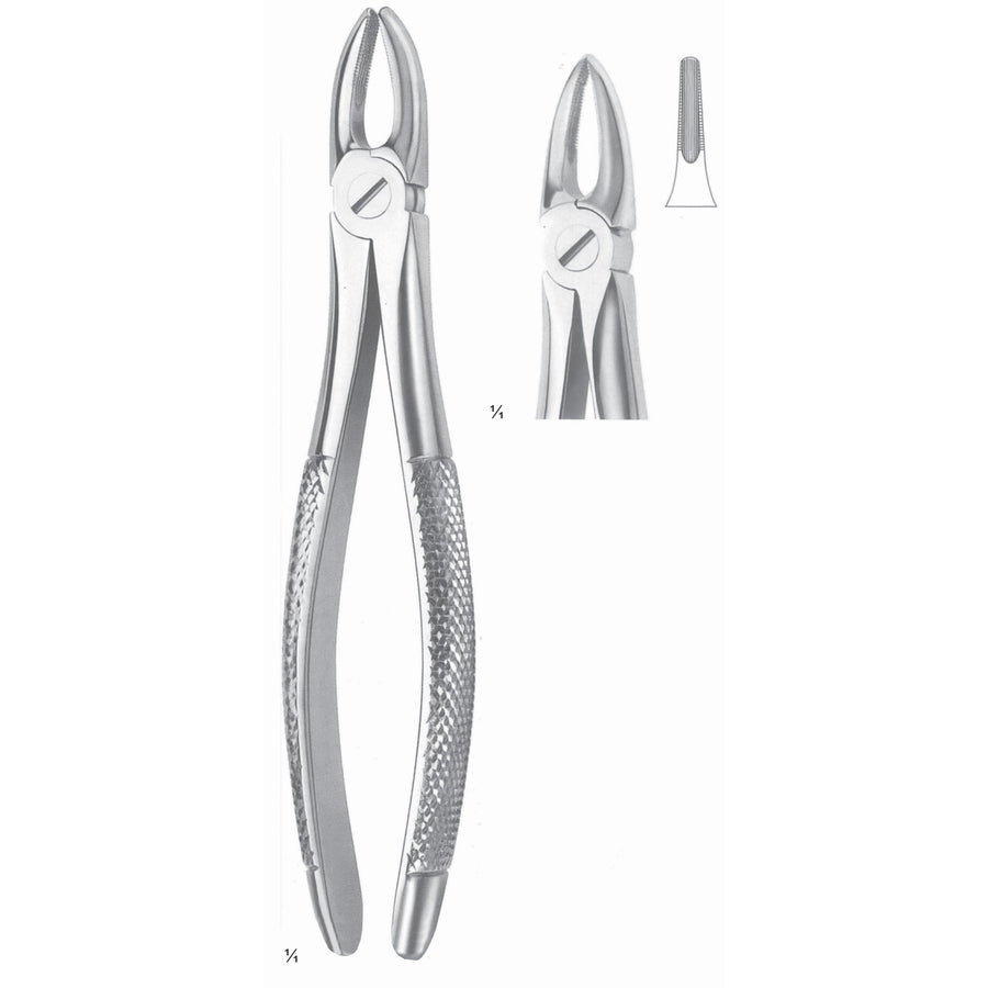 Extracting Forceps Roots And Incisors Fig 29 (M-007-29) by Dr. Frigz