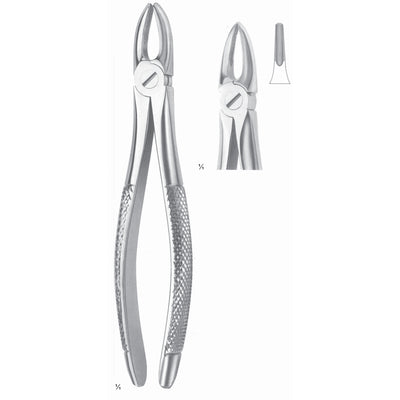 Extracting Forceps Roots And Incisors Fig 29 (M-007-29)