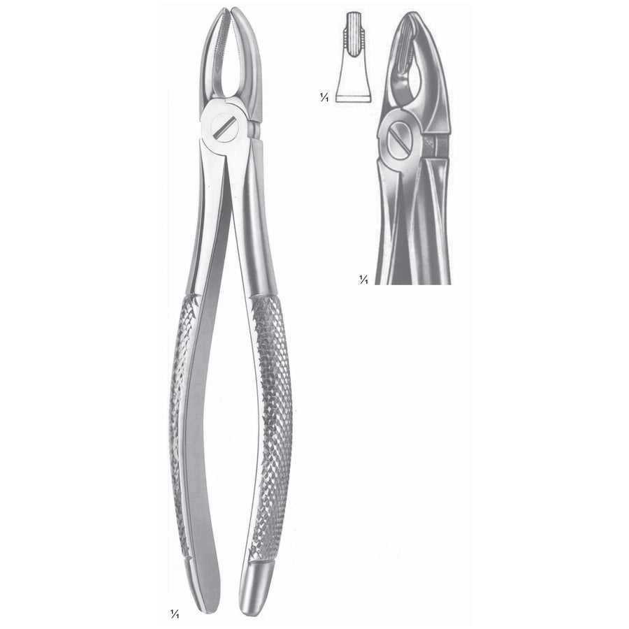 Extracting Forceps Upper Incisors & Premolars, Gripping In Depth Fig 34 (M-008-34) by Raymed