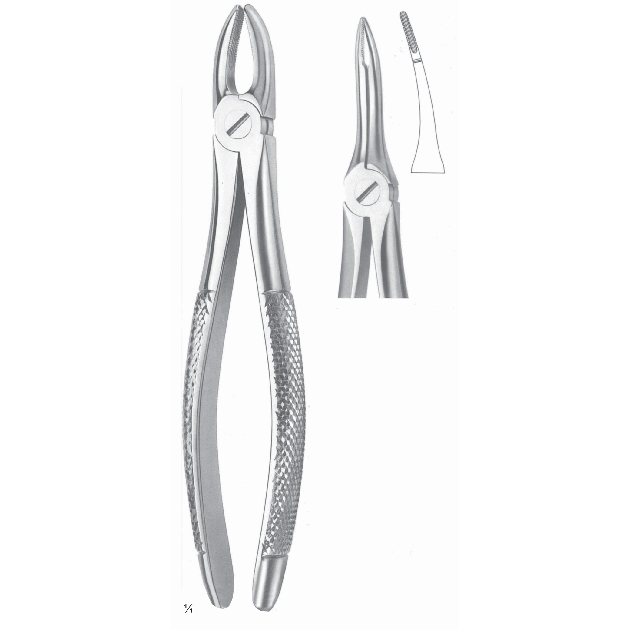 Extracting Forceps Roots Surgery Instrument – Dr Frigz