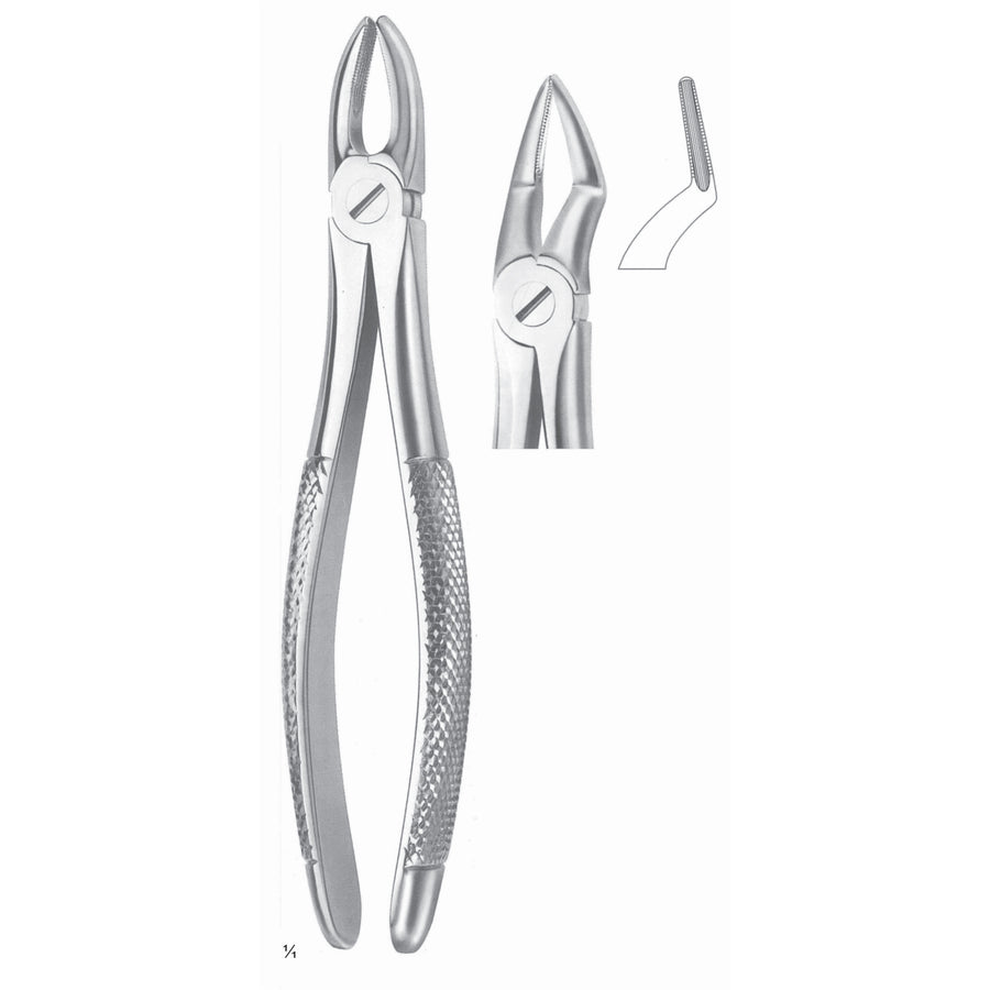 Extracting Forceps Roots Fig 51 A (M-011-51A) by Dr. Frigz