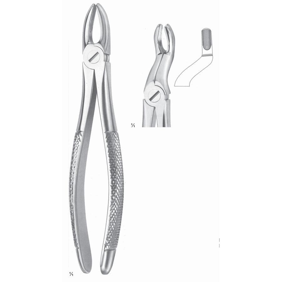Extracting Forceps Third Molars (M-012-67) by Dr. Frigz