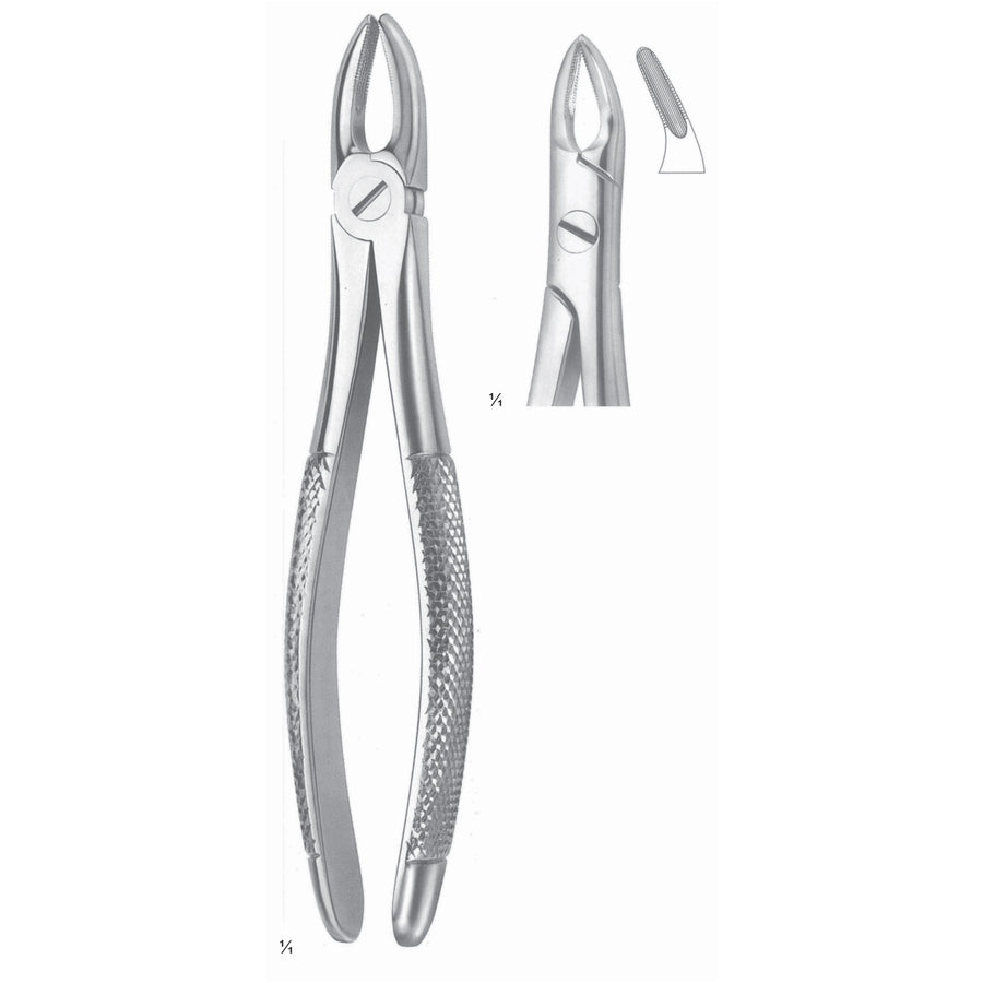 Lawrence-Read Extracting Forceps Roots Fig 76 N (M-015-76N) by Dr. Frigz