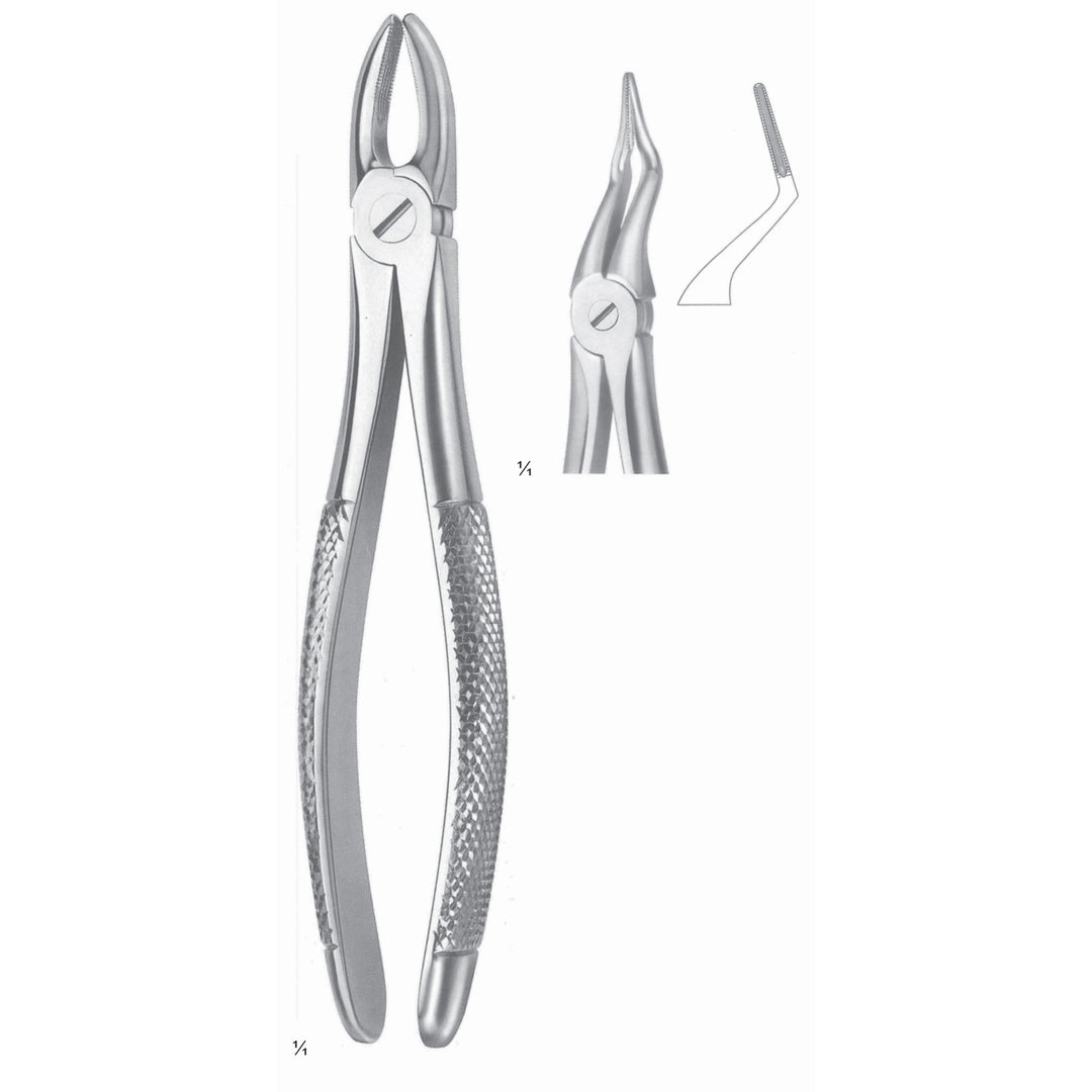 Extracting Forceps Roots, Very Fine Fig 151 (M-017-151) by Dr. Frigz