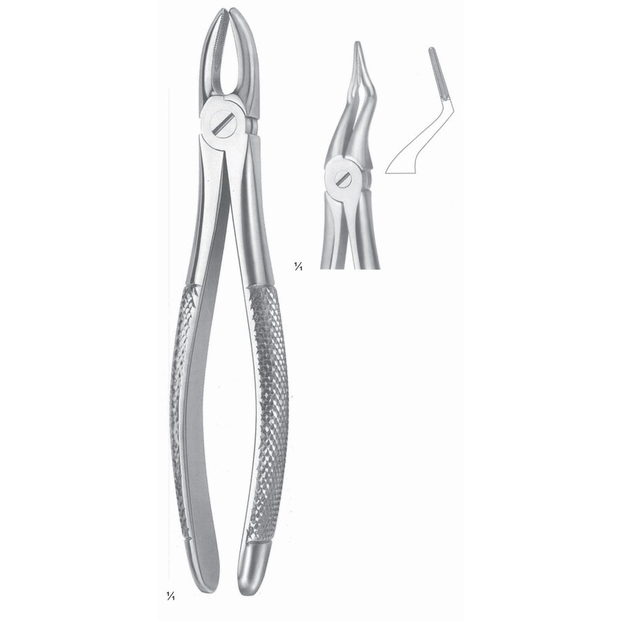 Extracting Forceps Roots, Very Fine Fig 151 (M-017-151) by Dr. Frigz