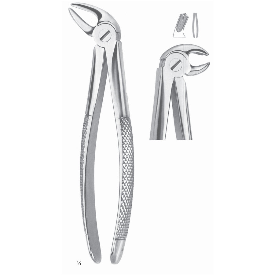 Extracting Forceps Molars, Right Fig 23 (M-021-23) by Dr. Frigz