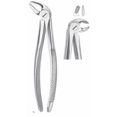 Extracting Forceps Molars, Right Fig 23 (M-021-23)