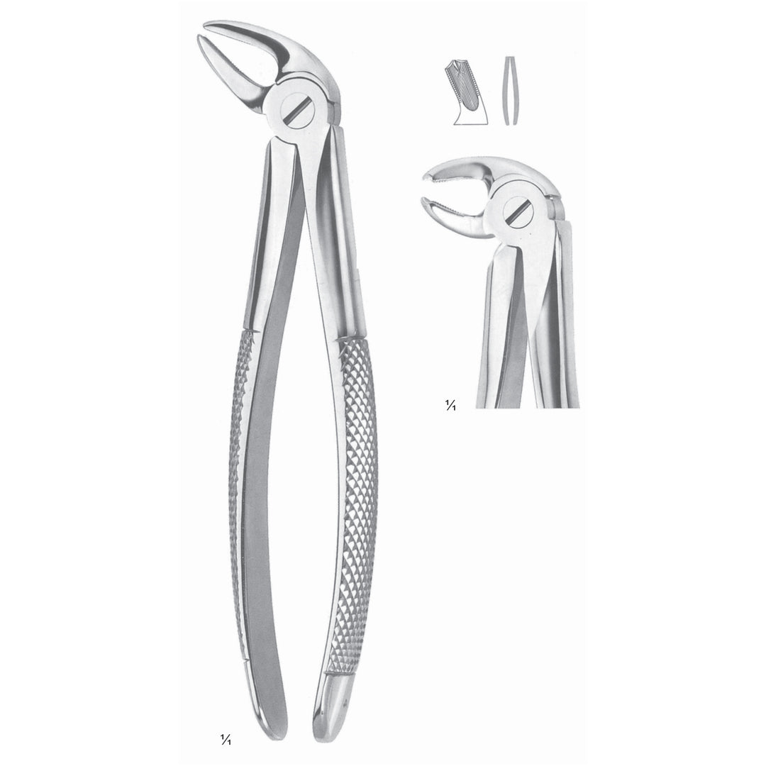 Extracting Forceps Molars, Left Fig 24 (M-022-24) by Dr. Frigz