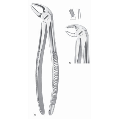 Extracting Forceps Molars, Left Fig 24 (M-022-24)