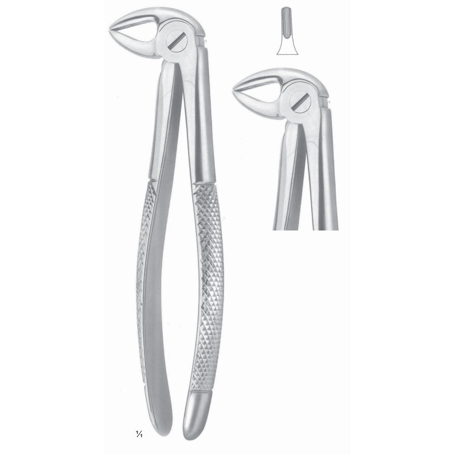 Extracting Forceps Roots Fig 33 (M-023-33) by Dr. Frigz
