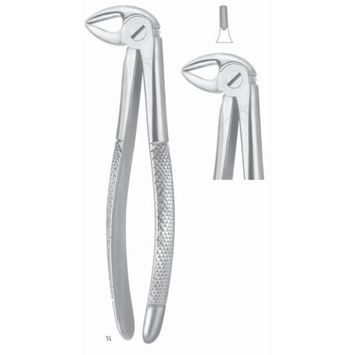 Extracting Forceps Roots Fig 33 (M-023-33)