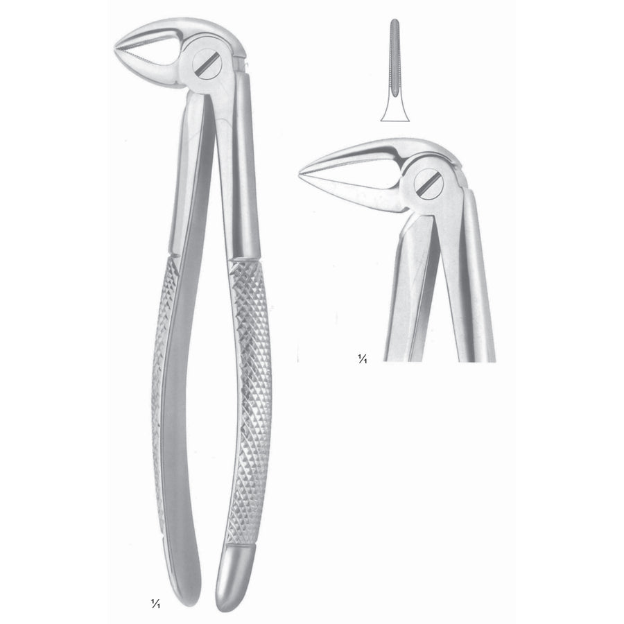 Extracting Forceps Roots, Slender Jaw Fig 33 M (M-025-33M) by Dr. Frigz