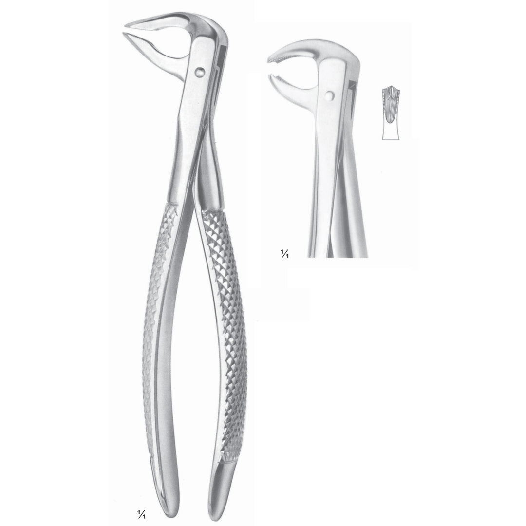 Extracting Forceps Molars Fig 73 (M-028-73) by Dr. Frigz