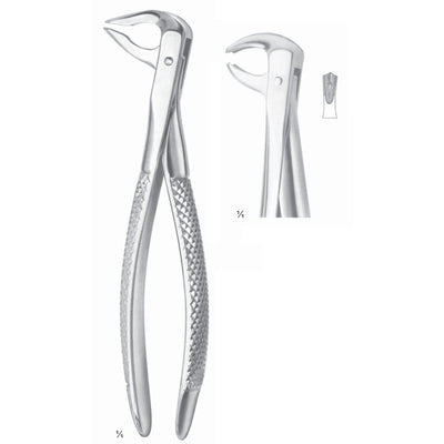 Extracting Forceps Molars Fig 73 (M-028-73)