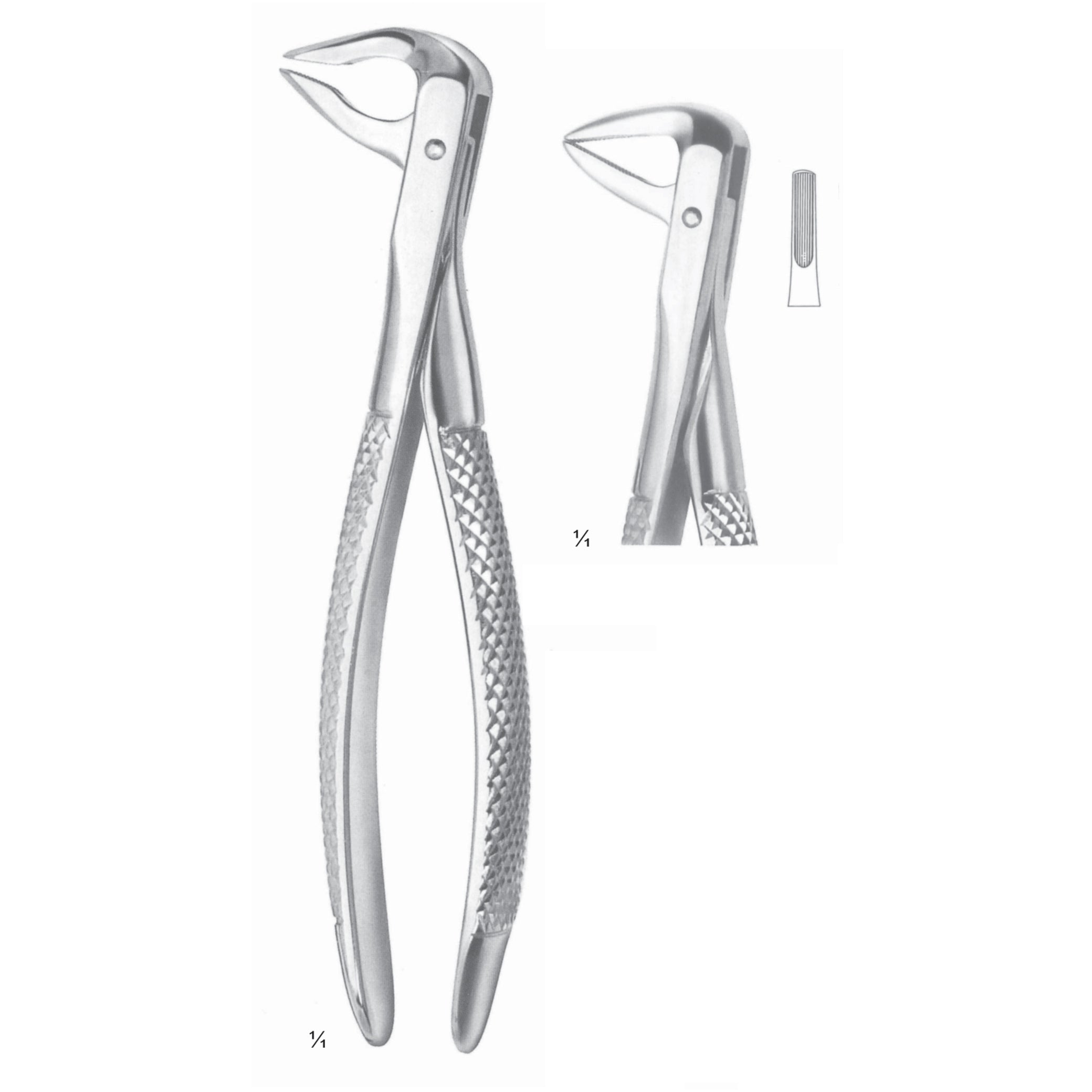 Extracting Forceps Incisors Surgery Instrument – Dr Frigz