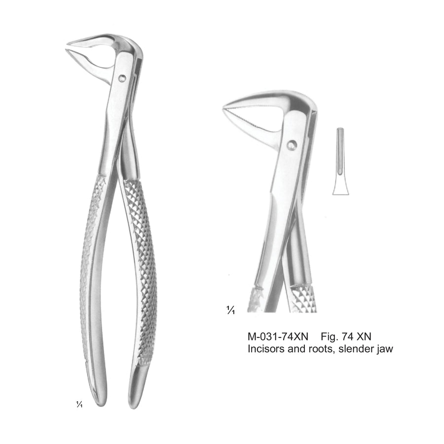 Extracting Forceps Incisors And Roots, Slender Jaw Fig 74 Xn (M-031-74Xn) by Dr. Frigz