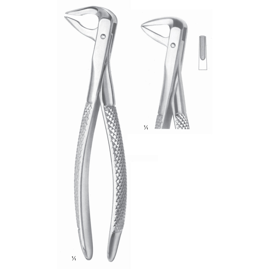 Extracting Forceps Cuspids And Biscuspids Fig 75 (M-032-75) by Dr. Frigz
