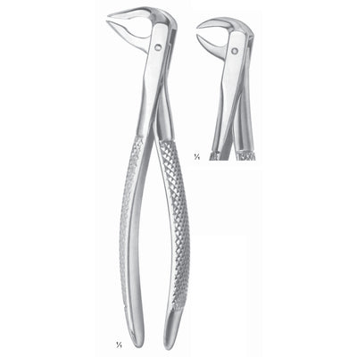 Extracting Forceps Molars With Carious Or Broken Caps Fig 86 A (M-036-86A)