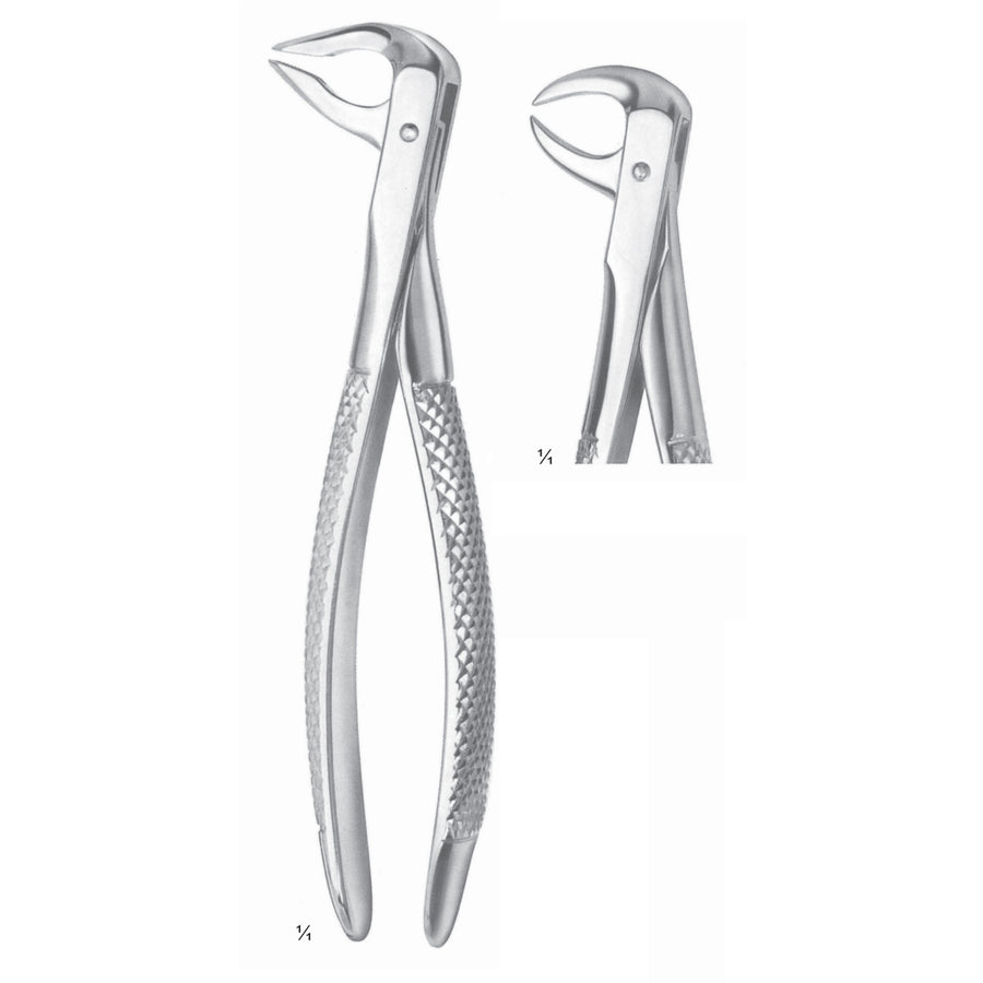 Extracting Forceps Molars With Carious Or Broken Caps Fig 86 B (M-037-86B) by Dr. Frigz