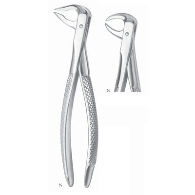 Extracting Forceps Molars With Carious Or Broken Caps Fig 86 B (M-037-86B)