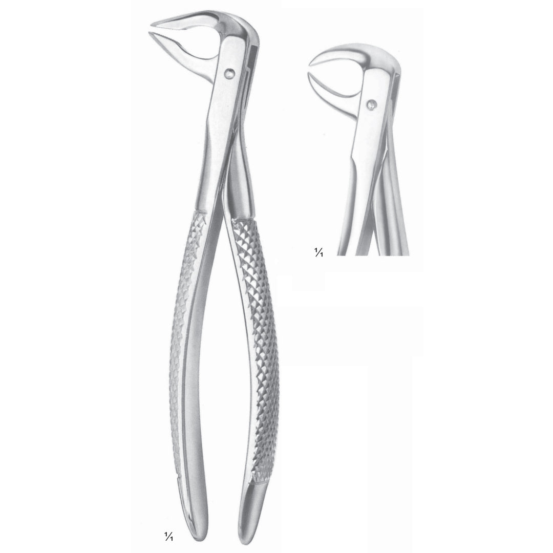Extracting Forceps Molars With Carious Or Broken Caps Fig 86 C (M-038-86C) by Dr. Frigz