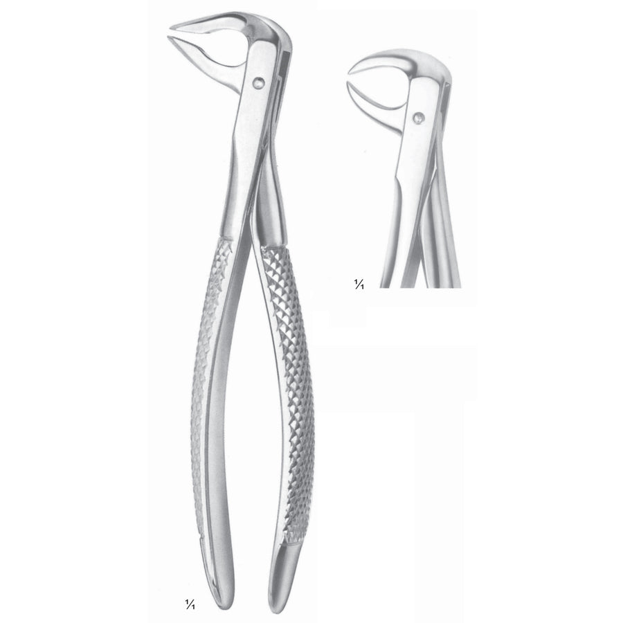 Extracting Forceps Molars With Carious Or Broken Caps Fig 86 C (M-038-86C) by Dr. Frigz