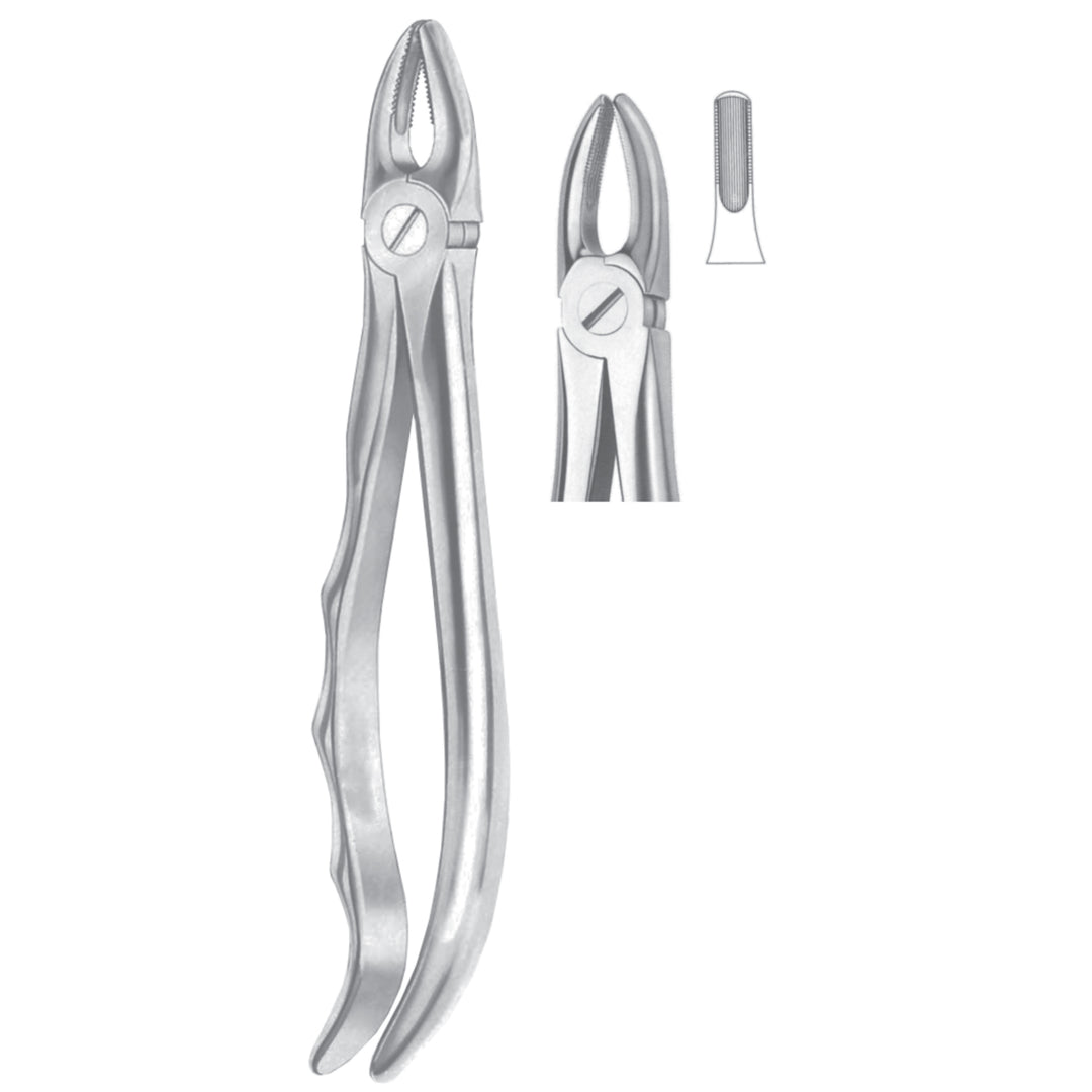 Extracting Forceps Incisors And Cuspids Fig 1 (M-042-01) by Dr. Frigz