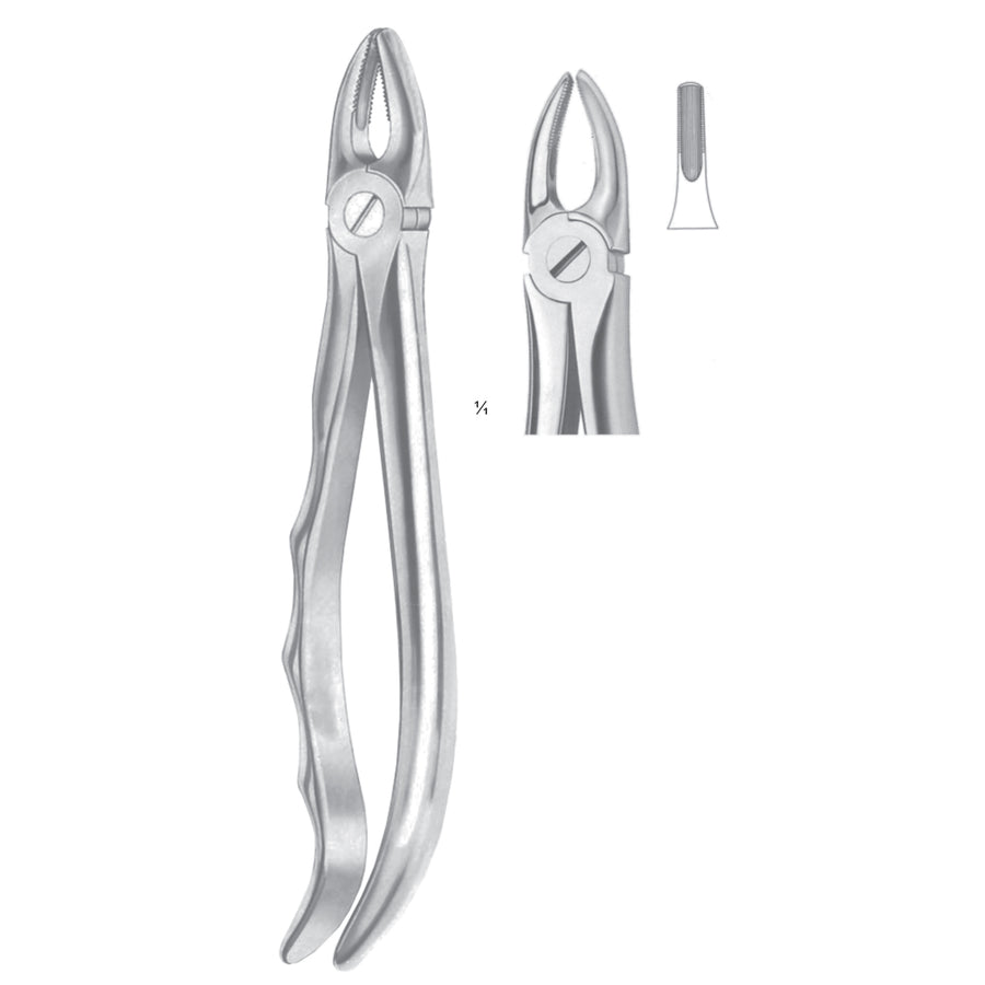 Extracting Forceps Incisors And Biscuspids Fig 2 (M-043-02) by Dr. Frigz