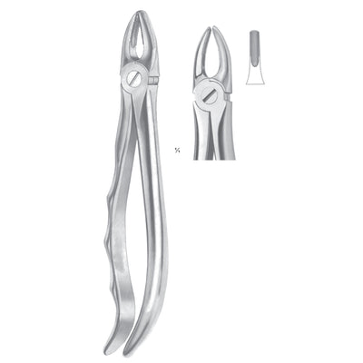 Extracting Forceps Incisors And Biscuspids Fig 2 (M-043-02)
